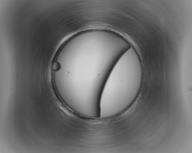 X0000113080846200908280946