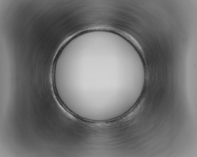 X0000113080847200908280946