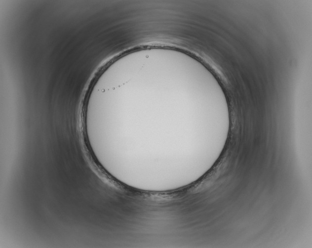 X0000113080848200908280946