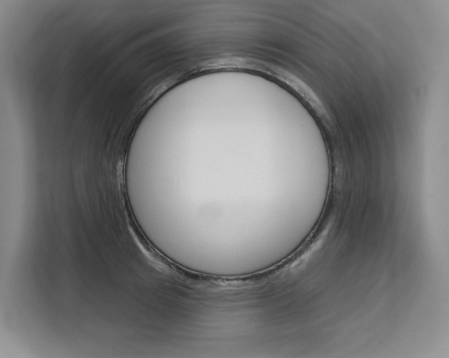 X0000113080849200908280946