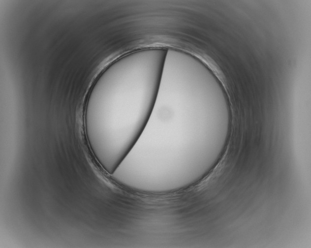 X0000113080850200908280946