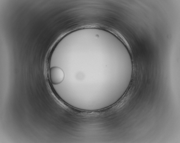 X0000113080851200908280946