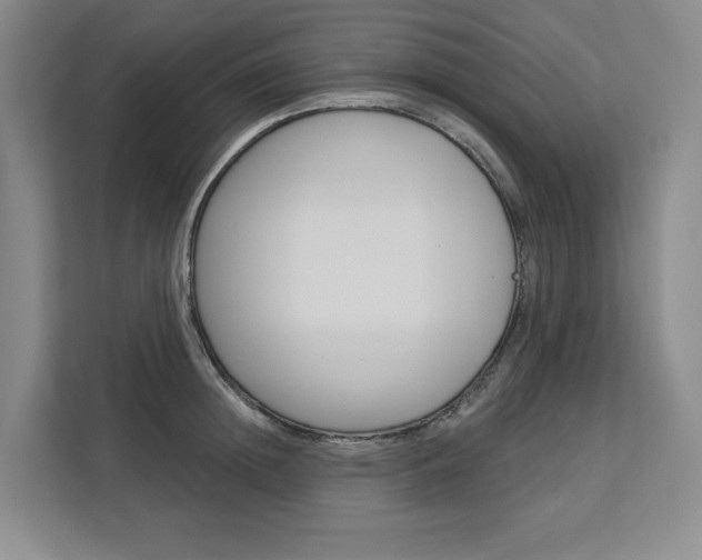 X0000113080852200908280946