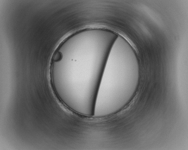 X0000113080853200908280946