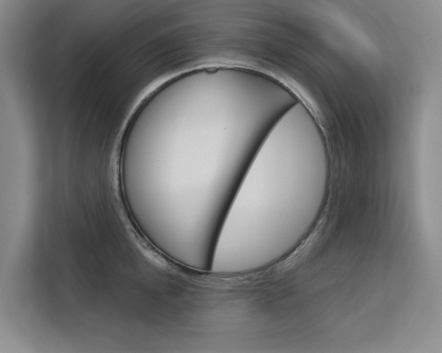 X0000113080854200908280946
