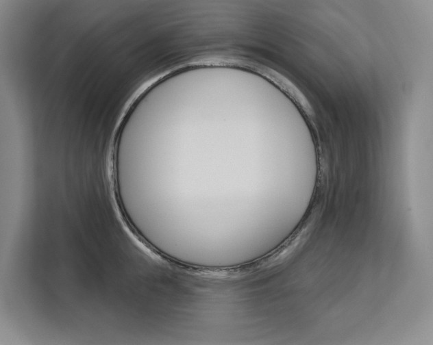 X0000113080855200908280946