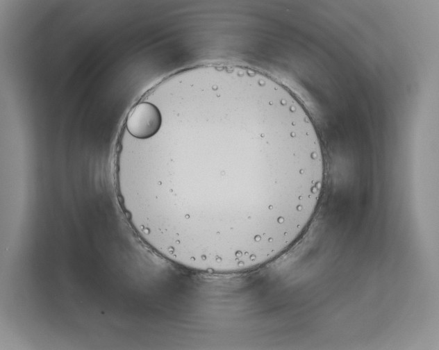 X0000113080856200908280946