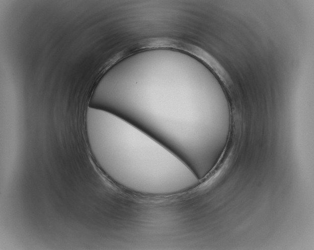 X0000113080857200908280946