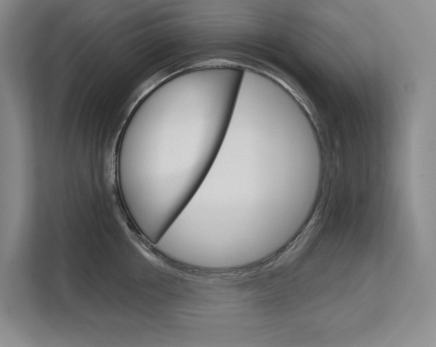 X0000113080858200908280946