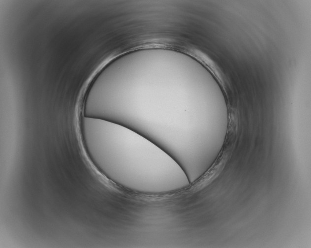 X0000113080859200908280946