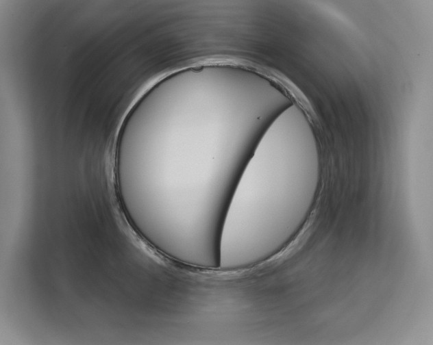 X0000113080860200908280946