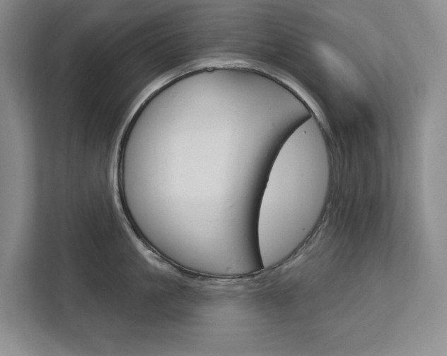 X0000113080861200908280946