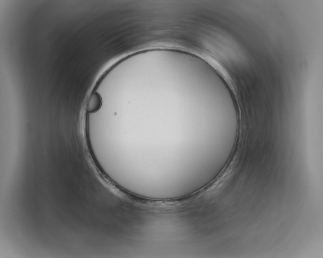 X0000113080862200908280946