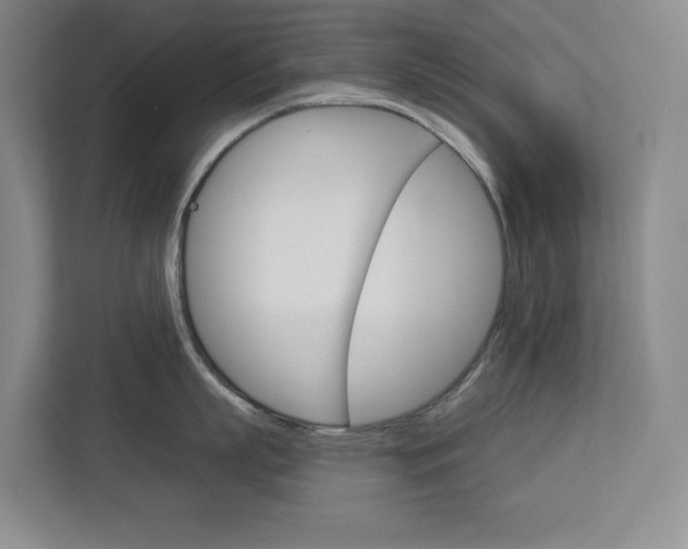 X0000113080863200908280946