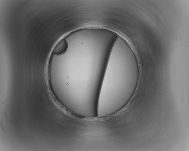 X0000113080864200908280946