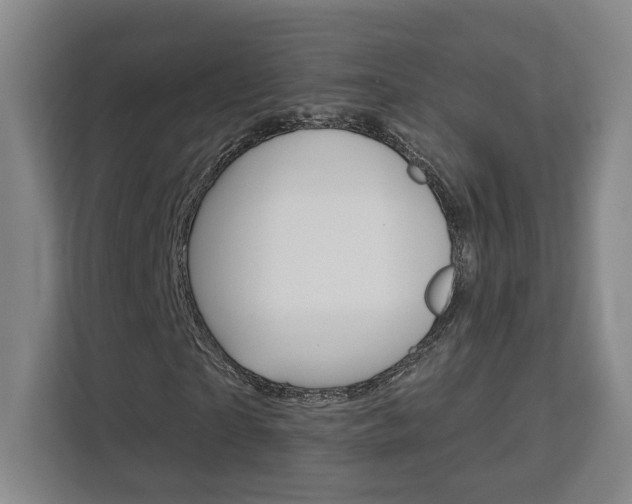 X0000113080865200908280945