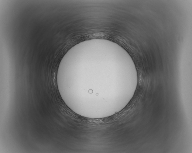 X0000113080866200908280945