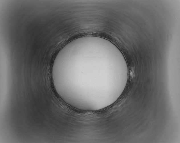 X0000113080867200908280945