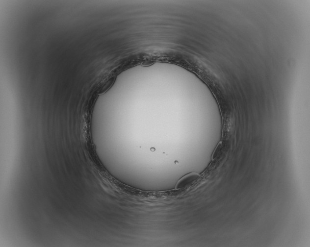 X0000113080868200908280945