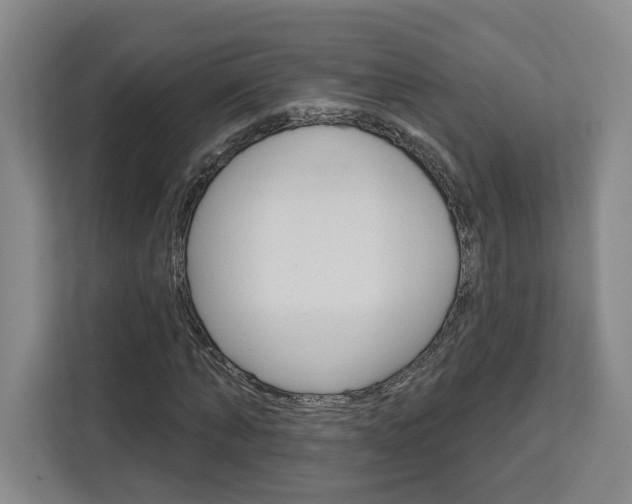 X0000113080870200908280945