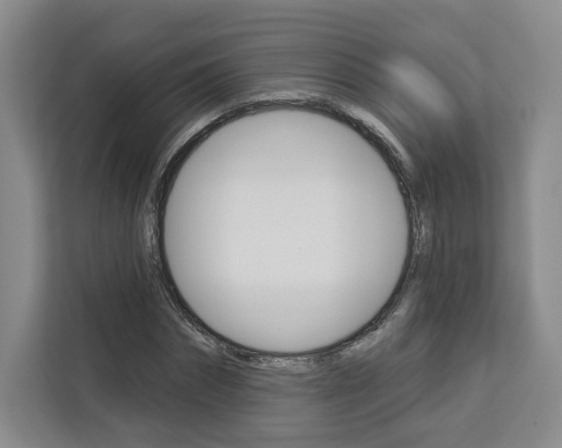 X0000113080874200908280945