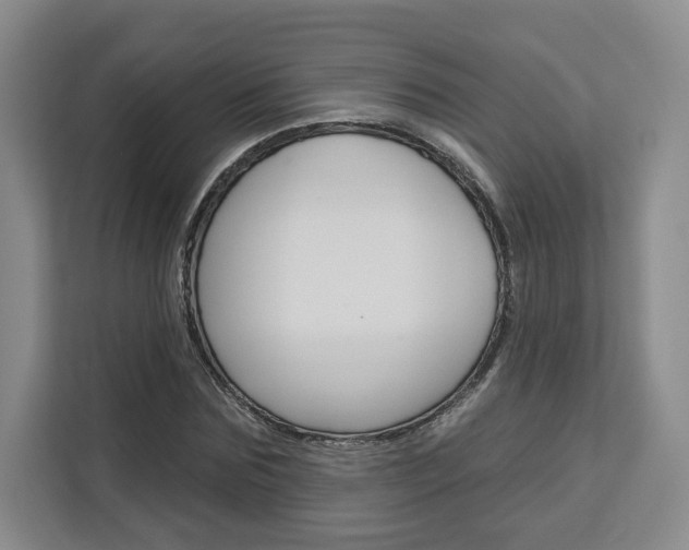 X0000113080875200908280945