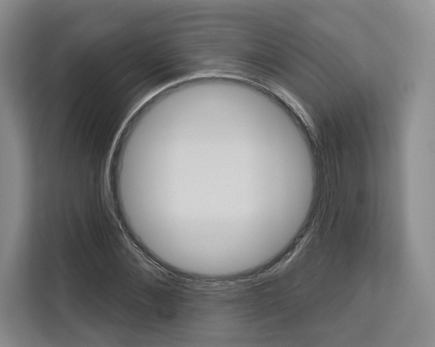 X0000113080876200908280945