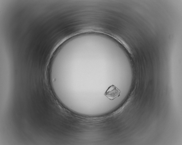 X0000113080877200908280945