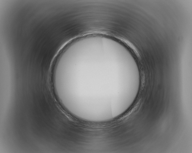 X0000113080878200908280945