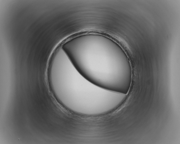 X0000113080880200908280945