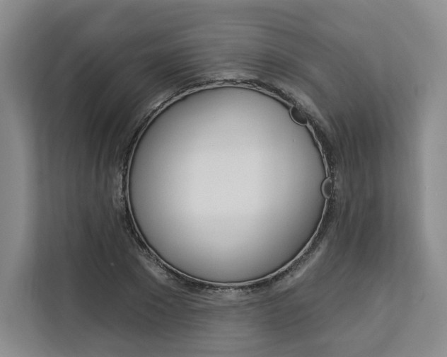 X0000113080881200908280945