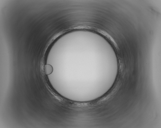X0000113080882200908280945
