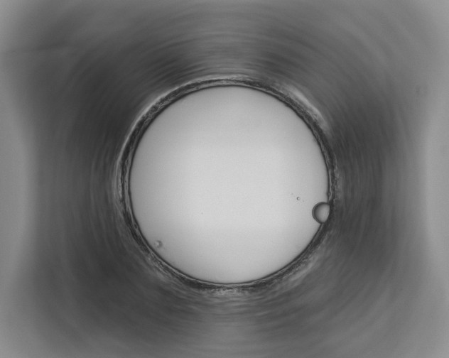 X0000113080883200908280945