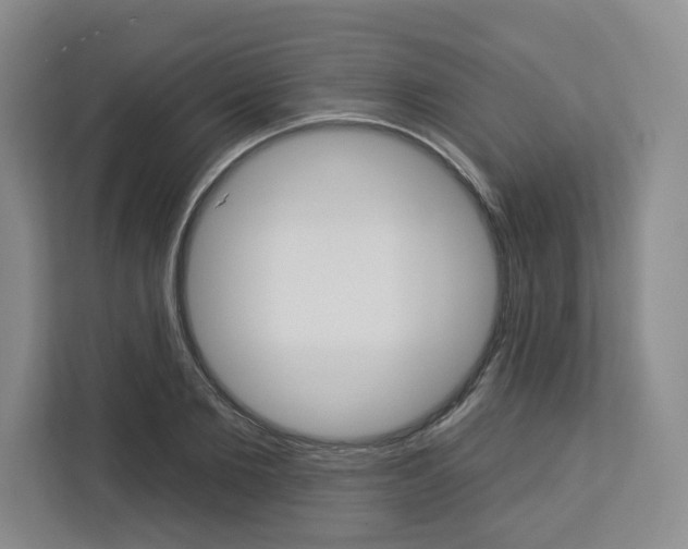 X0000113080885200908280945
