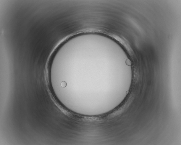 X0000113080886200908280945