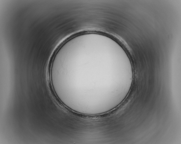 X0000113080887200908280945