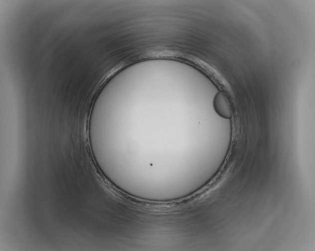 X0000113080889200908280945