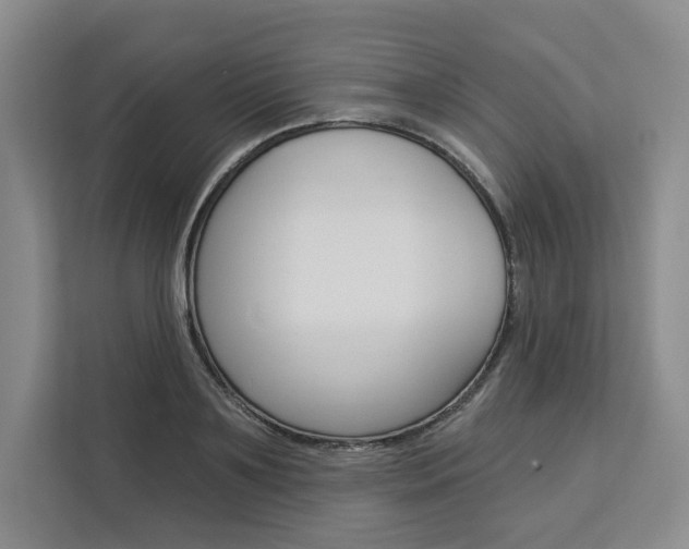 X0000113080891200908280945