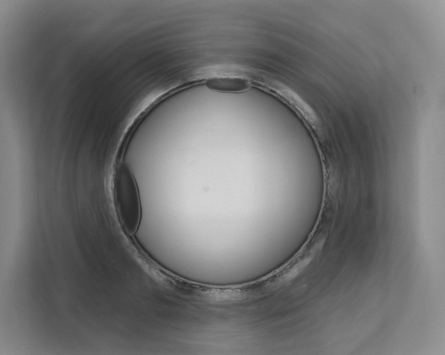 X0000113080893200908280945