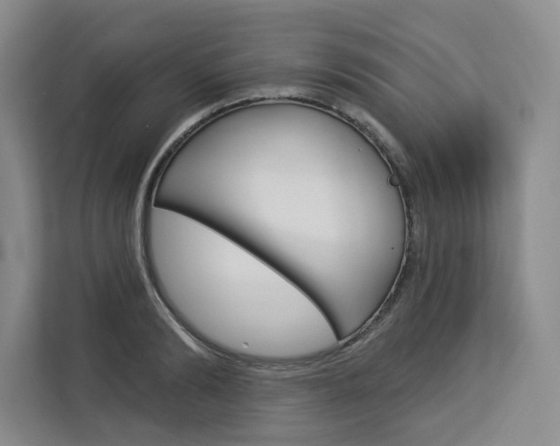 X0000113080894200908280945