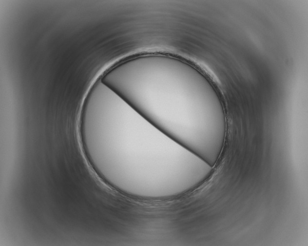 X0000113080895200908280945