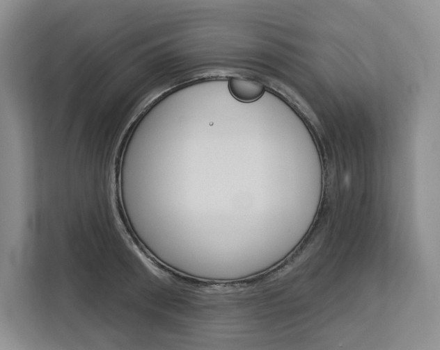 X0000113080898200908280945