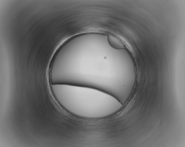 X0000113080899200908280945