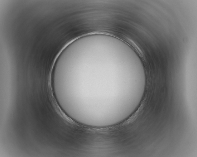 X0000113080900200908280945