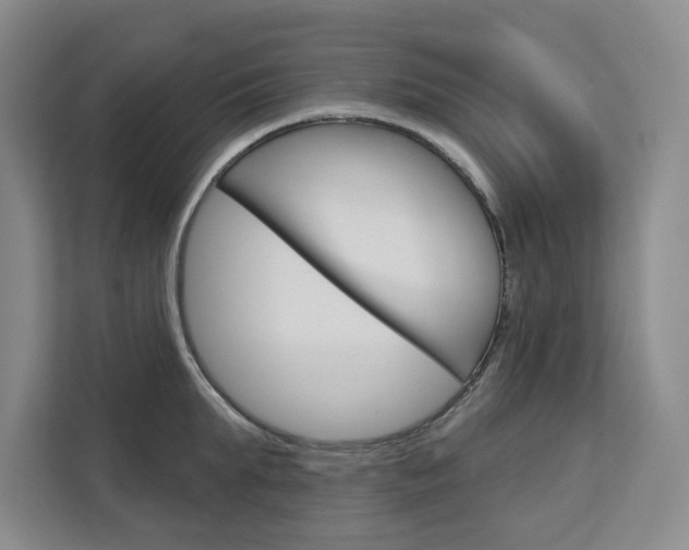 X0000113080903200908280945