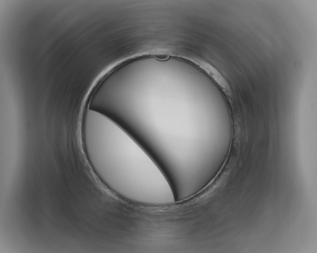 X0000113080904200908280945