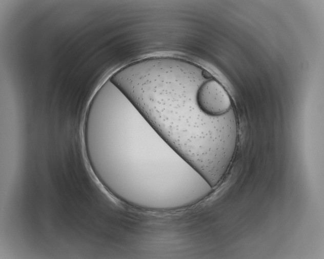X0000113080906200908280945