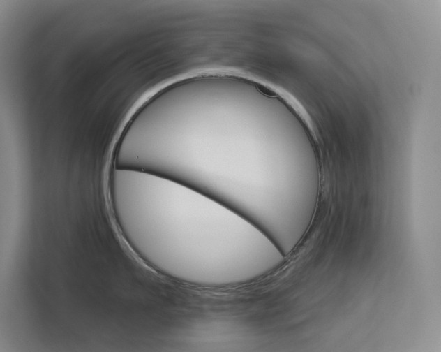 X0000113080911200908280945