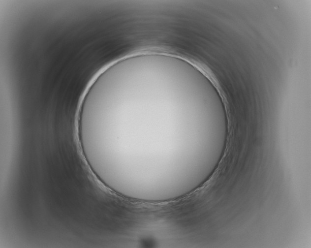 X0000113080912200908280945