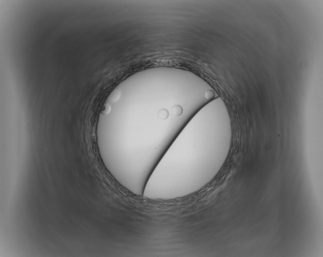 X0000113080913200908280944